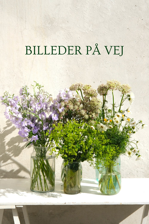 Bårebuket